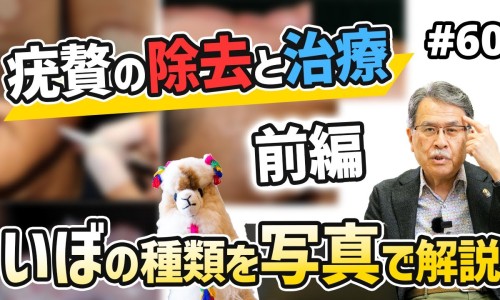 当归养血丸功能主治与作用-当归养血丸功效与作用-当归养血丸功能主治是什么,中国当归养血丸功能主治网站